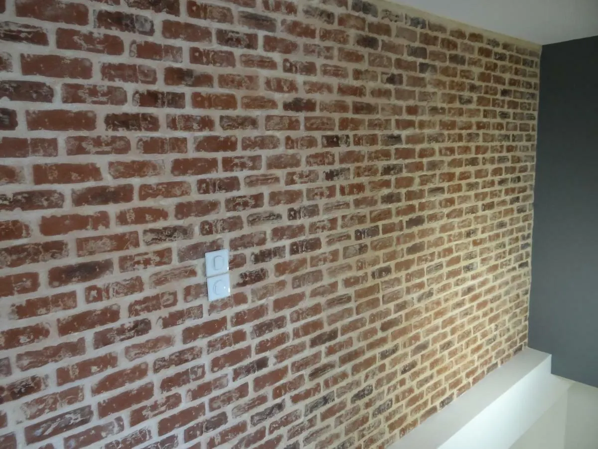 Appartement My Toul'House Spa Toulouse